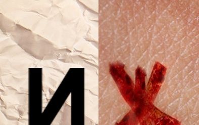 Искуственная Жизнь